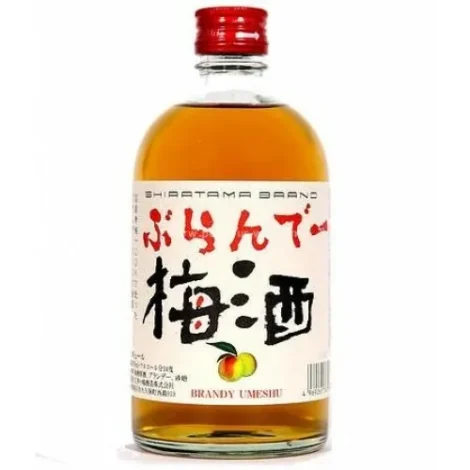 2000x-28.webp