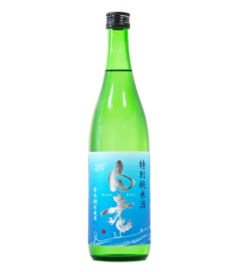 2000x-94.webp