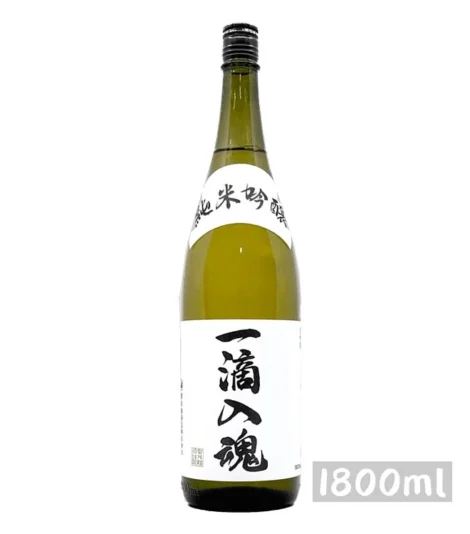 2000x-95.webp